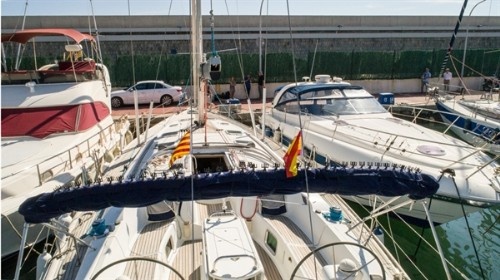 Stop Gull Bimini Sailboat