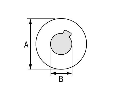 Borgring RVS voor as Ø22/25