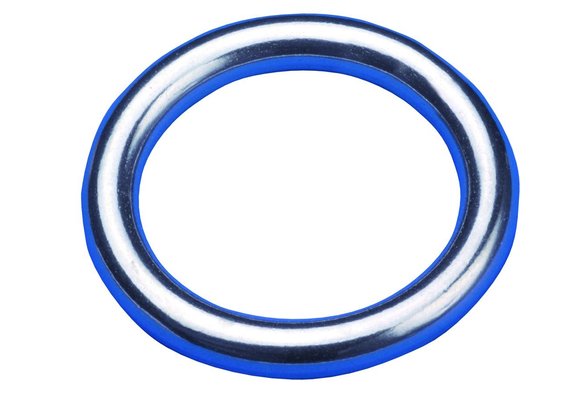 O-Ring RVS 316 gelast 30 x 8 mm