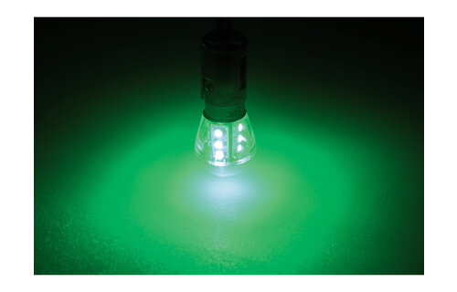 Ledlamp led15 10-30V BAY15D green - 0.9 watt