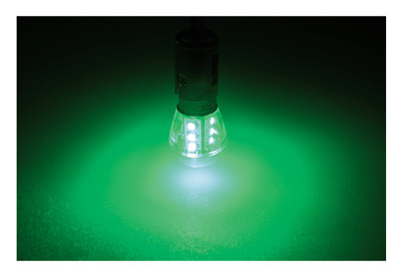 Ledlamp led15 10-30V BAY15D green - 0.9 watt