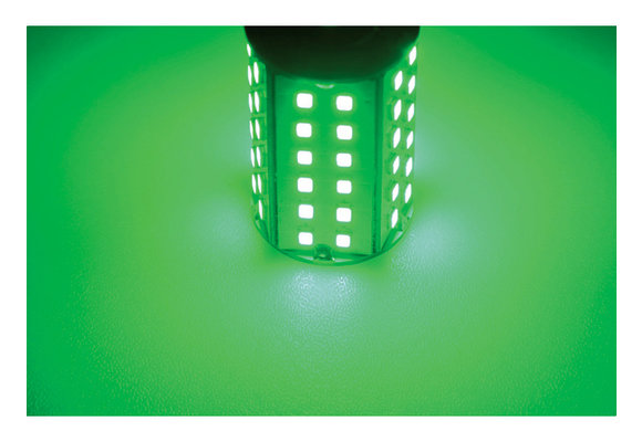 Ledlamp led60 10-30V BAY15D green - 4.8 watt