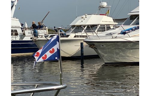 Vlag Friesland