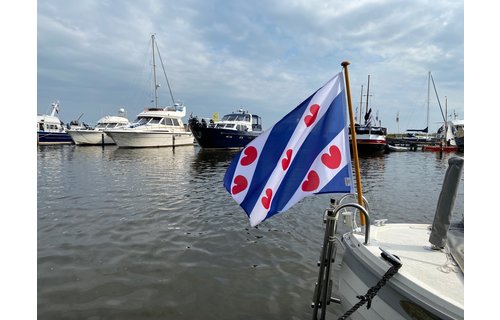 Vlag Friesland