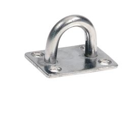 Allpa RVS oogplaat  38 5x48mm  Ø8mm