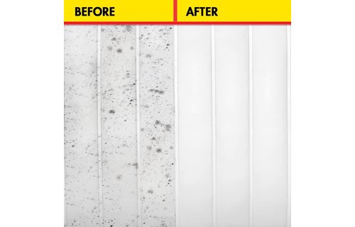 MSR Black Stain Remover