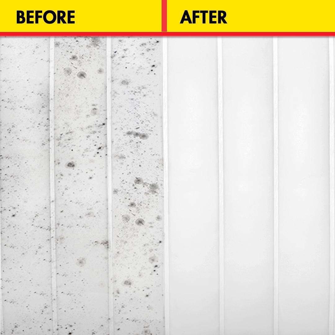 MSR Black Stain Remover