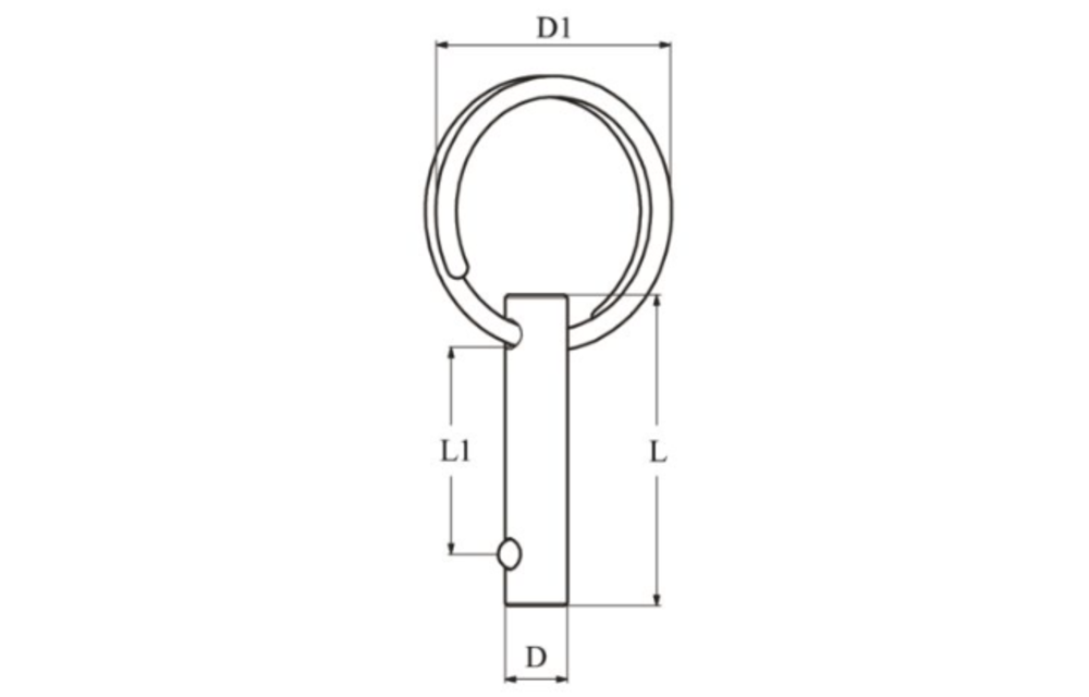 Fastpin met ring 5mm 25mm