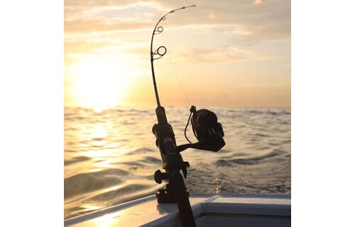 RAILBLAZA HEXX ROD HOLDER II ZWART MET HEXX BASIS