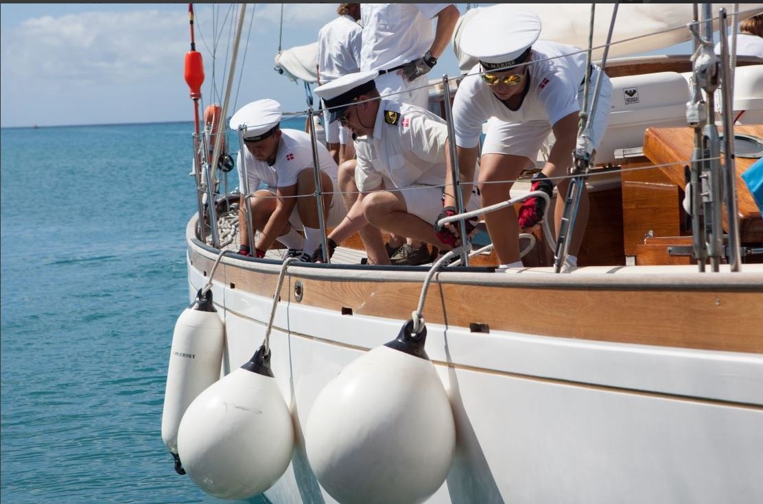 Dan fender | Balfender - Navy