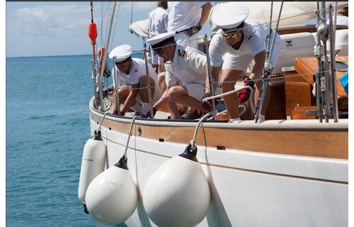 Dan fender | Balfender - Oranje