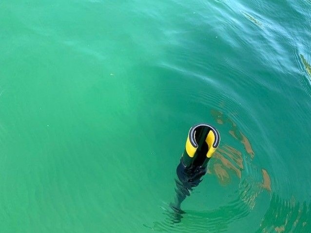 Pikhaak oprolbaar/drijvend 190 cm