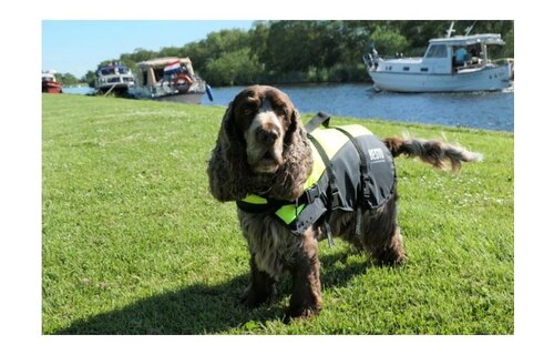 Besto Hondenzwemvest Deluxe Geel