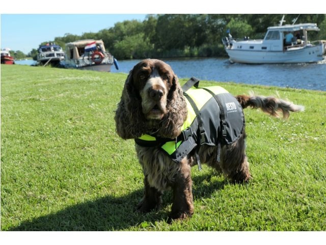 Besto Hondenzwemvest Deluxe Geel