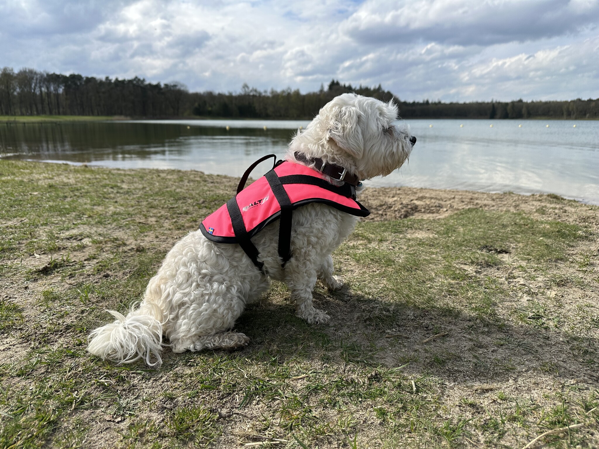 Baltic Pluto Hondenzwemvest Roze