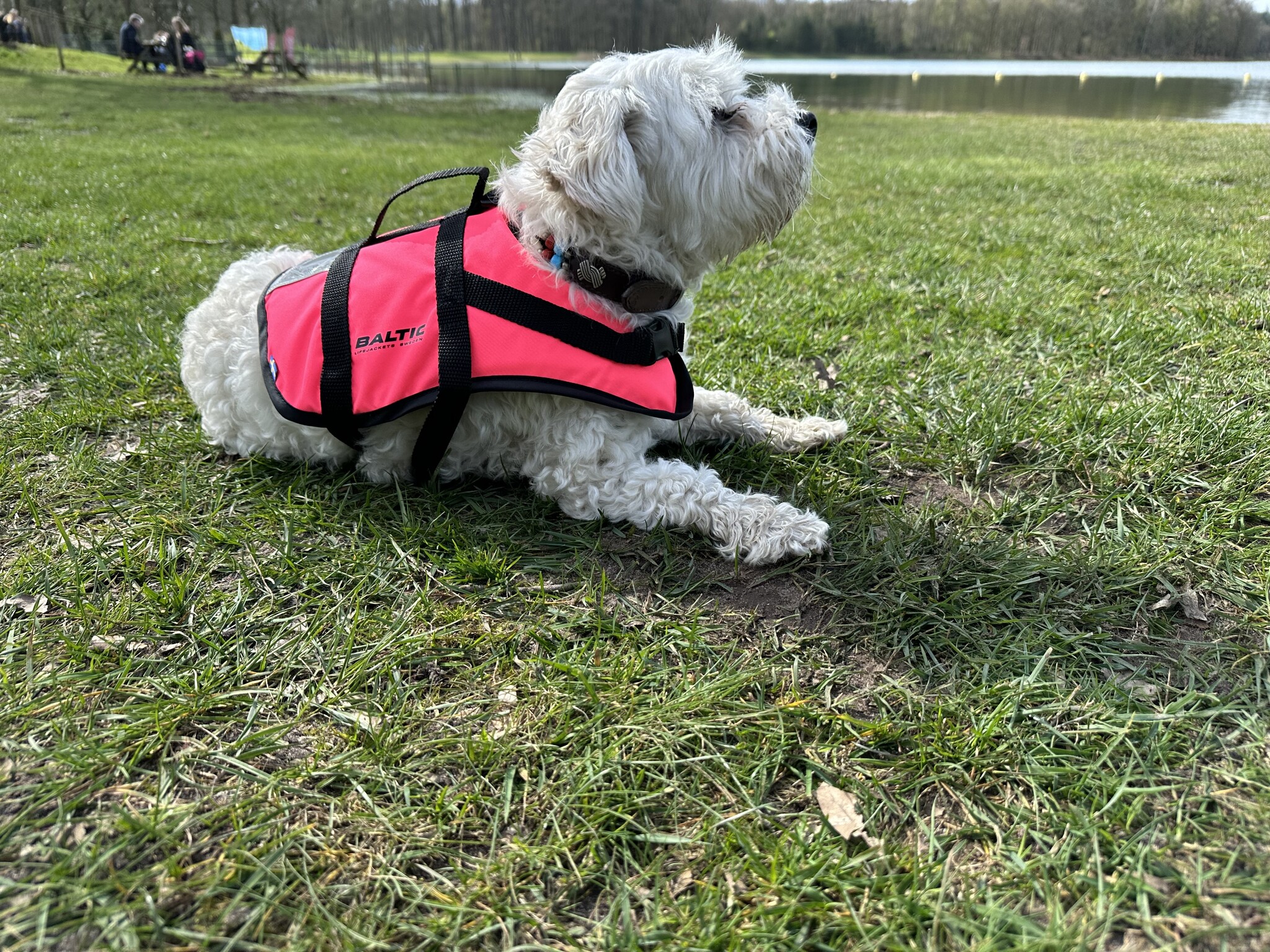 Baltic Pluto Hondenzwemvest Roze