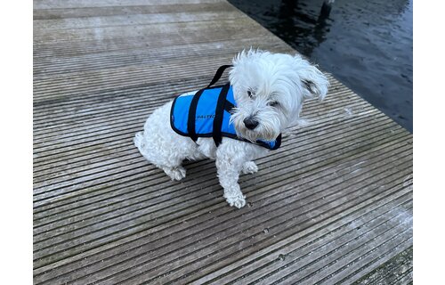 Baltic Pluto Hondenzwemvest Blauw