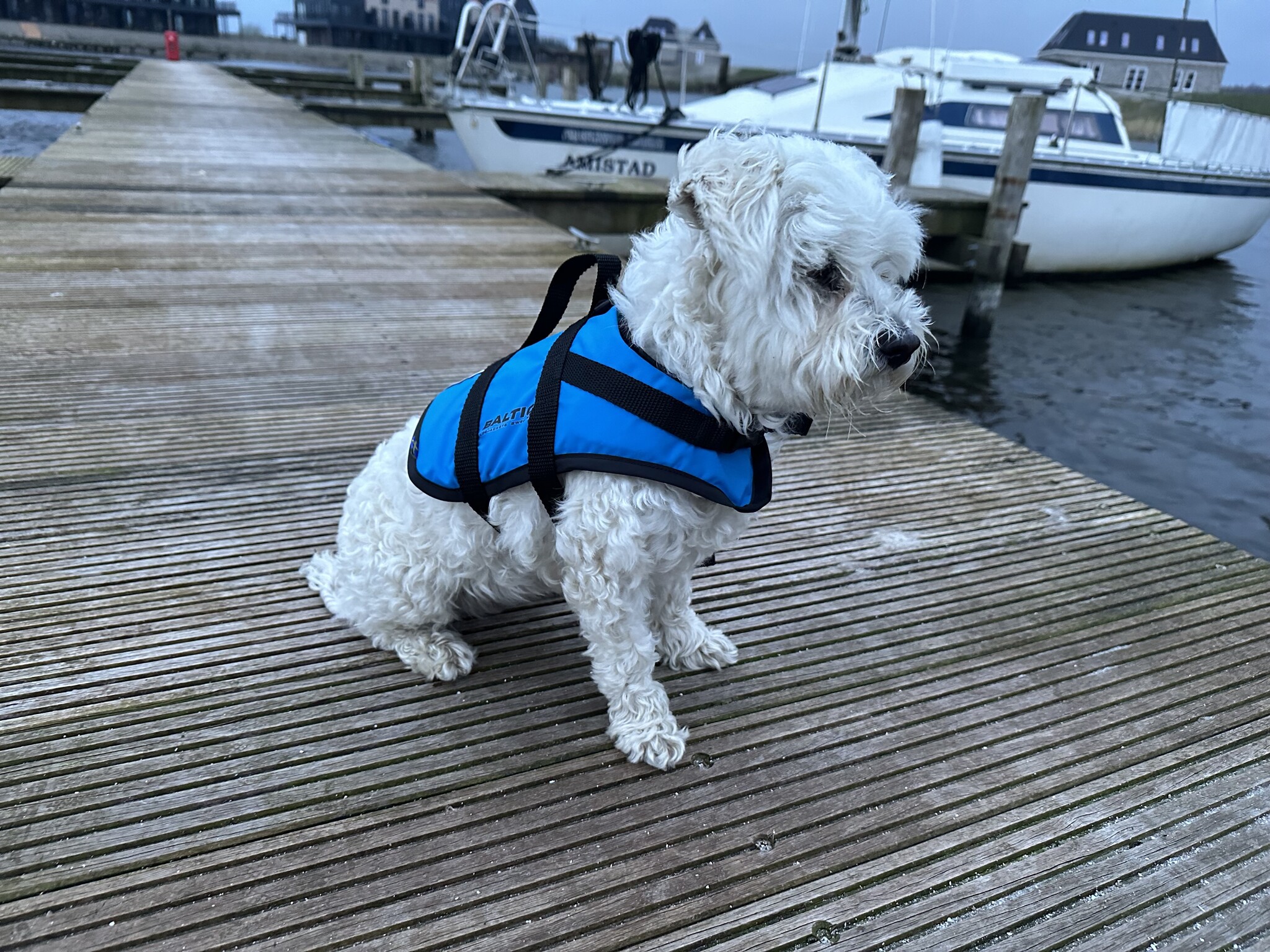 Baltic Pluto Hondenzwemvest Blauw