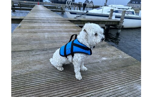 Baltic Pluto Hondenzwemvest Blauw