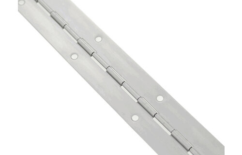 Roca pianoscharnier RVS