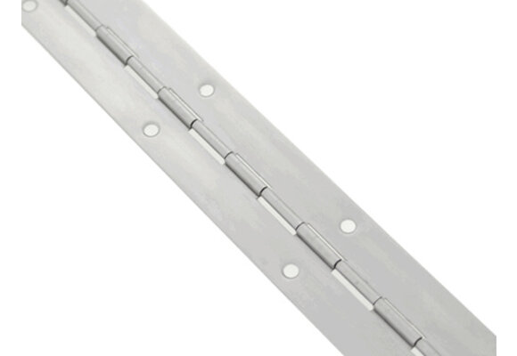 Roca pianoscharnier RVS