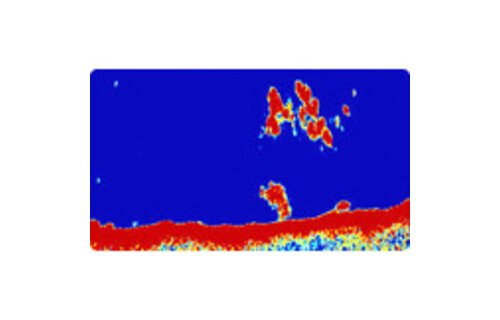 Raymarine CP370 ClearPulse 1KW Sonarmodule