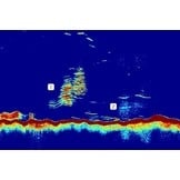 Raymarine CP470 Clear Pulse 470 CHIRP
