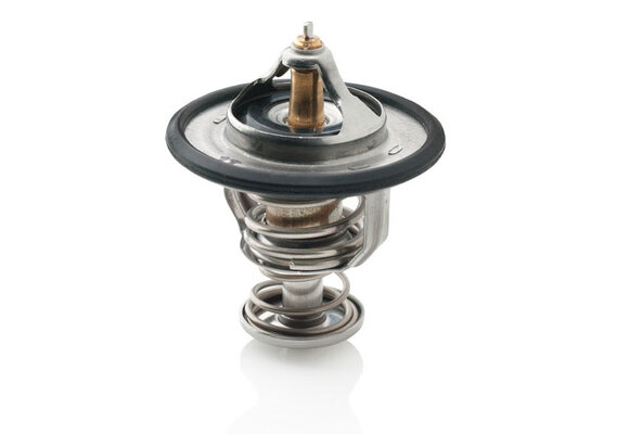 VETUS Thermostaat VH4.65/80