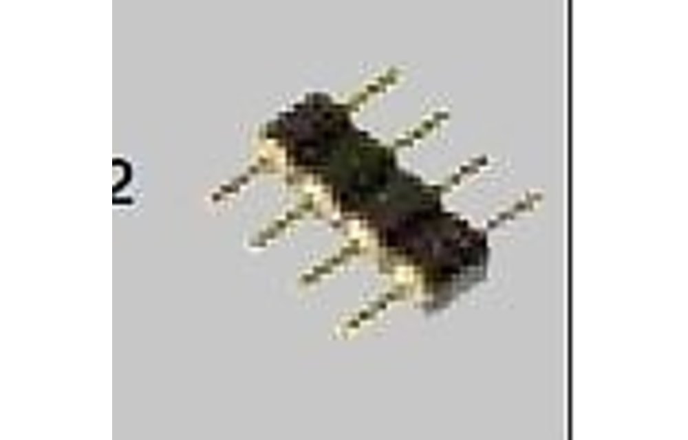 Båtsystem Pin conn. Flat Striplight en Superstrip