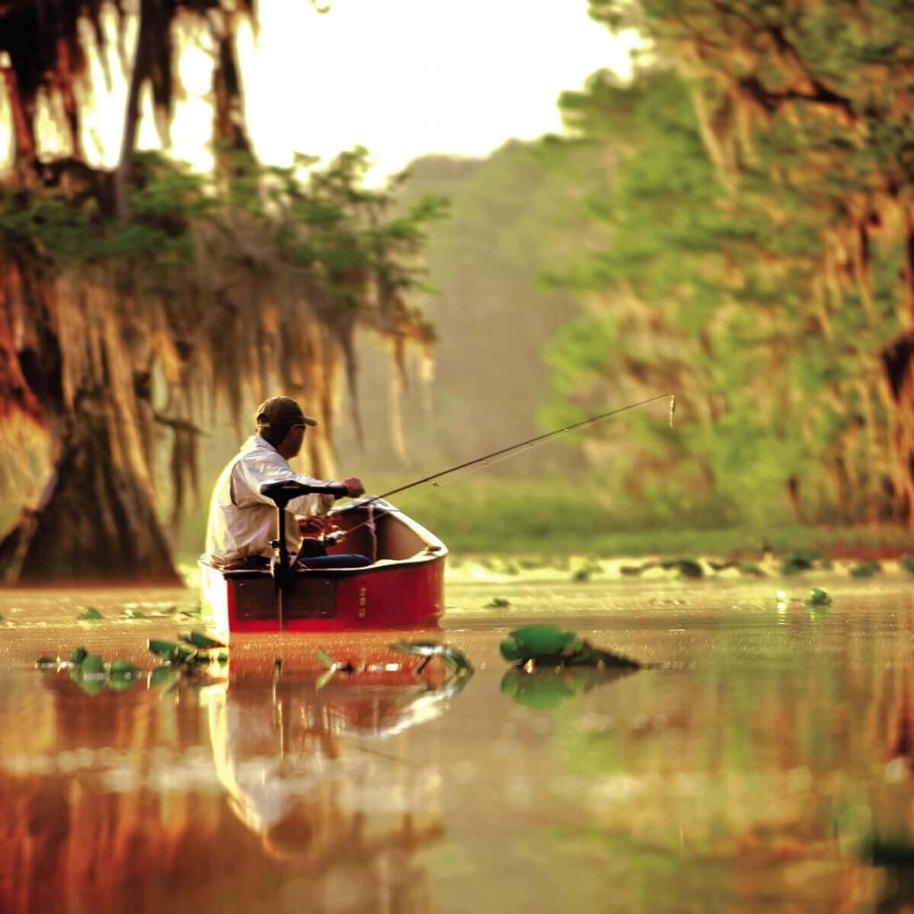 Minn Kota ENDURA C2 34 - 91cm 12V Fluistermotor