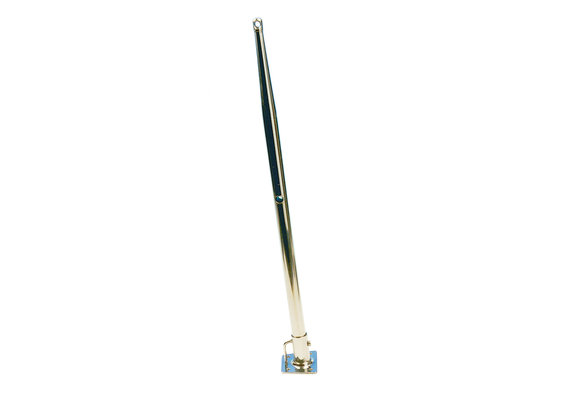 Allpa RVS scepter Ø25mm  H=750mm  3-gats (250/500/750mm)