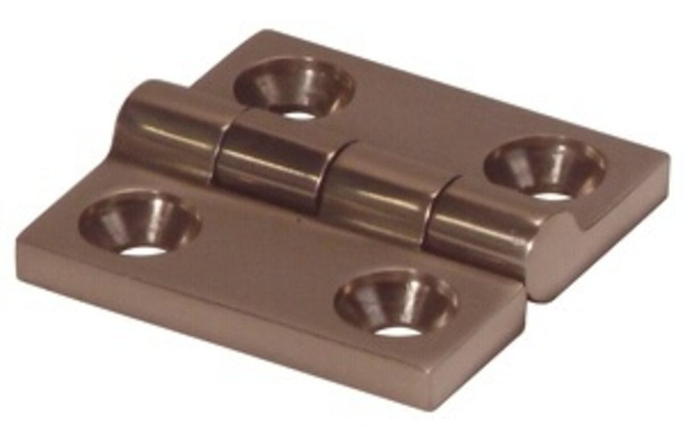 RVS 316 scharnier 48X48