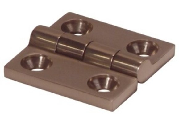 RVS 316 scharnier 48X48