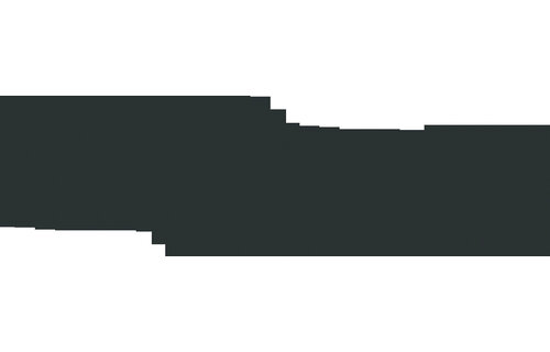 Railingeindstuk  RVS  120°  Ø25 4mm  Hoogte 56mm