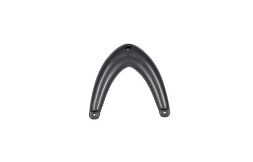 Kopleguaan |Antraciet