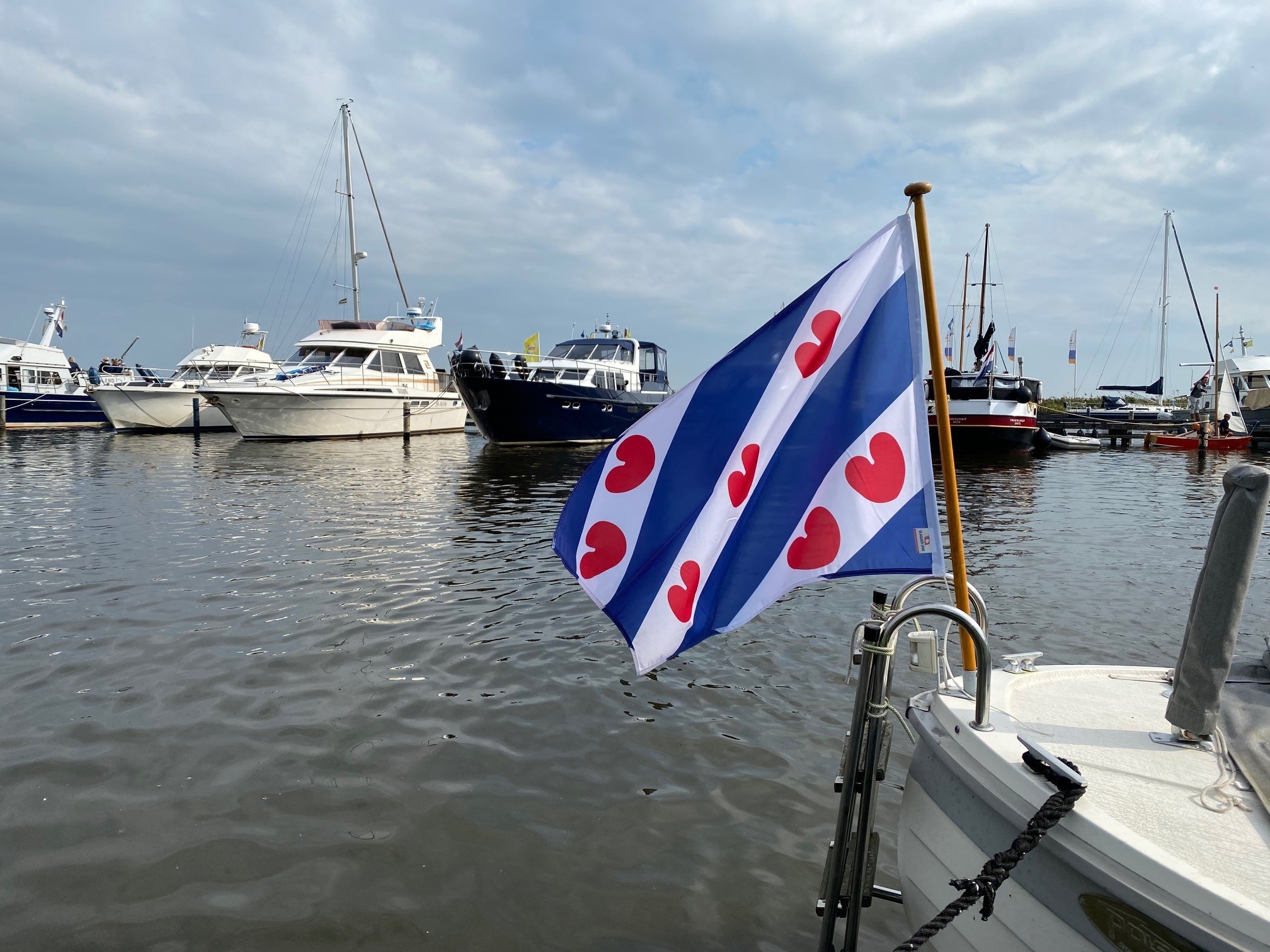 Vlag Friesland