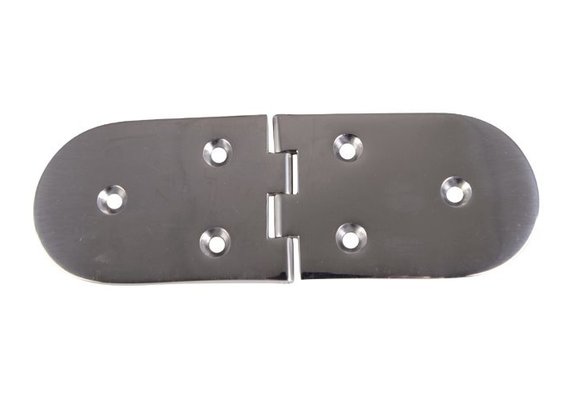 RVS scharnier 190 X 65