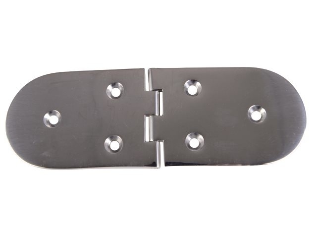 RVS scharnier 190 X 65