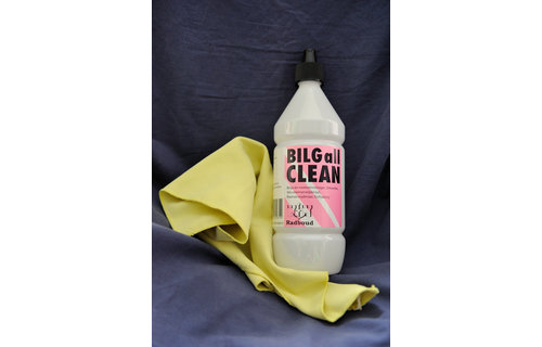 Radboud bilge all clean