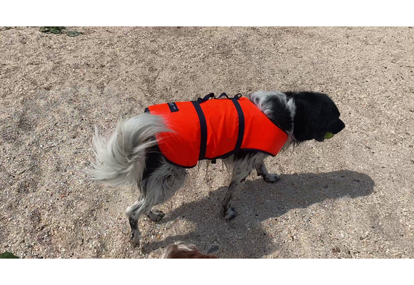 Besto Hondenzwemvest - oranje