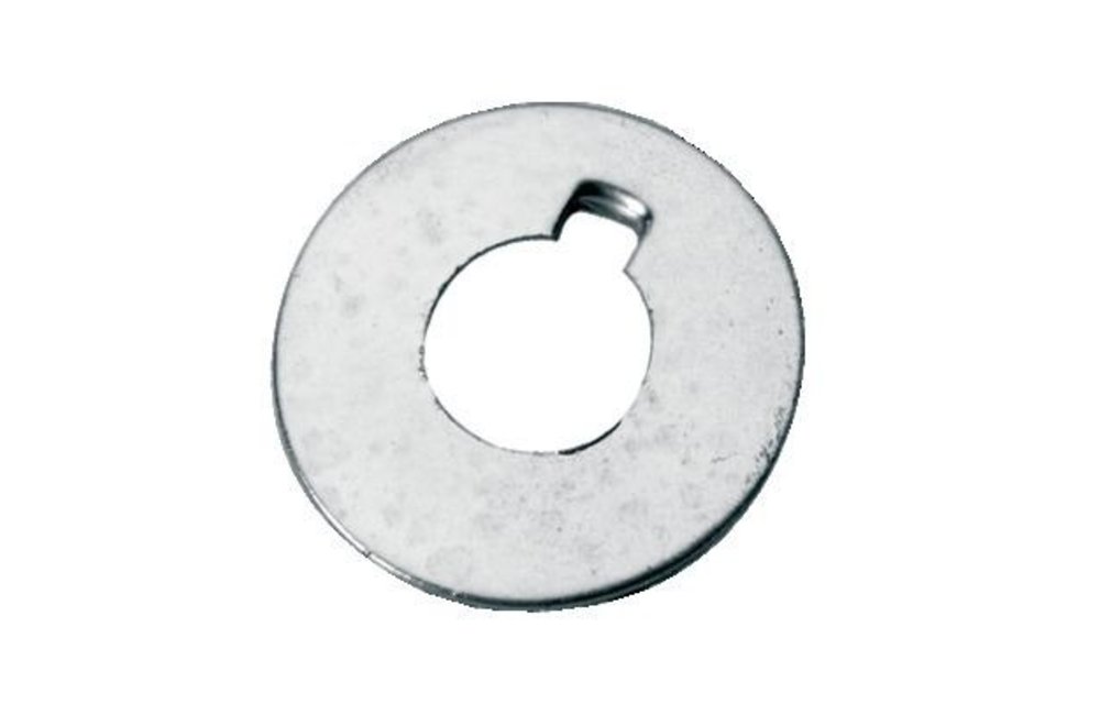 Borgring RVS voor as Ø22/25