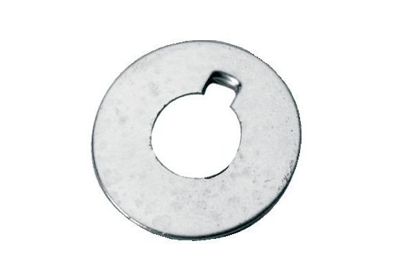 Borgring RVS voor as Ø22/25