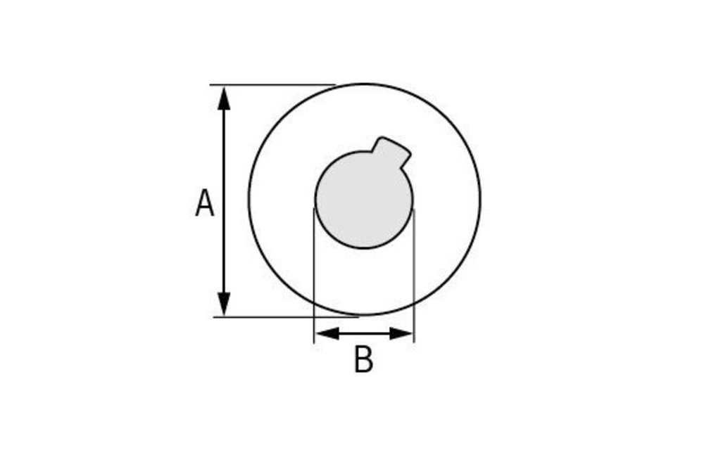 Borgring RVS voor as Ø22/25