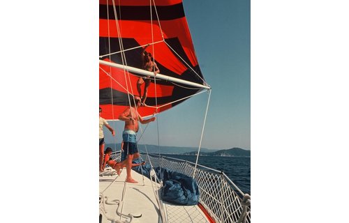 Railingnet knooploos 30 à 70 cm zwart