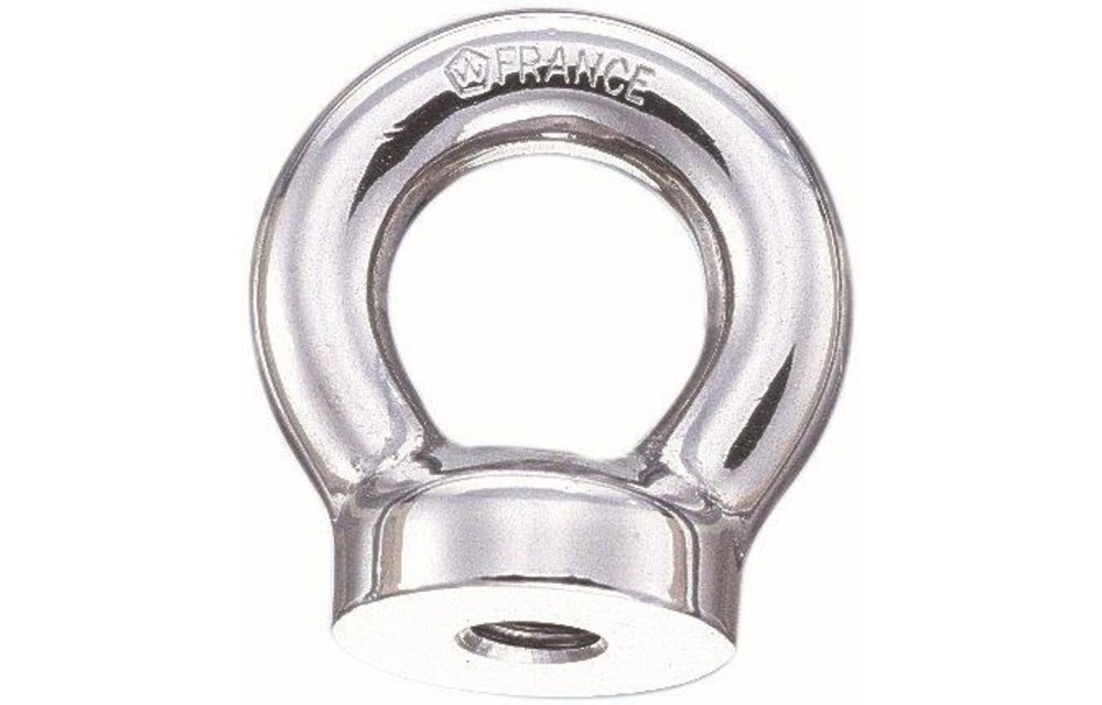 Oogmoer RVS M10 10 x 46 mm