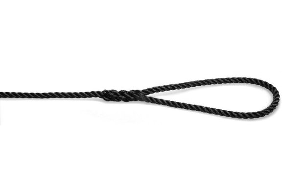 Prijslandvast met 20 cm oog 10 mm x 4,5 m zwart