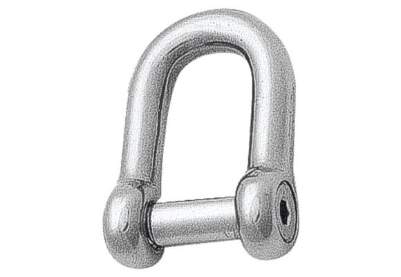 D-sluiting RVS met binnenzeskant pin 5mm