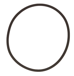 Allpa O-Ring voor deksel van koelwaterfilter 090150 / 325