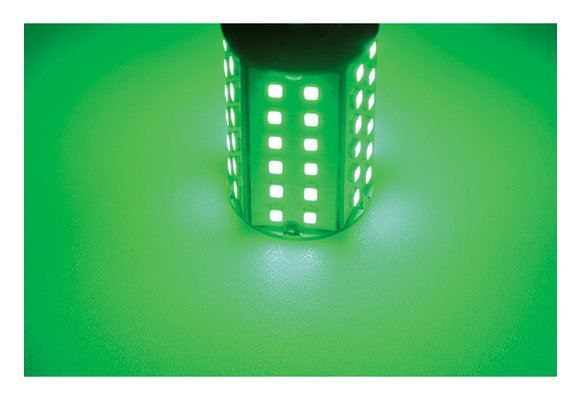 Ledlamp led60 10-30V BAY15D green - 4.8 watt
