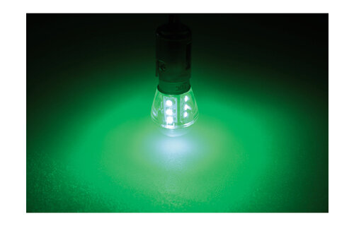Ledlamp led15 10-30V BAY15D green - 0.9 watt